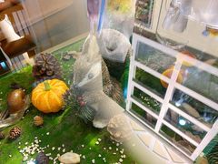 包房-初拾·花里餐厅(钜城华亿店)