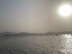 -蠡湖大桥公园