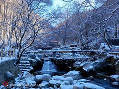 -陕西省红河谷森林公园