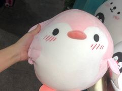 -左海海底世界