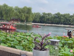 -小王府(什刹海店)