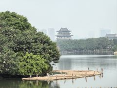 -海珠湖公园