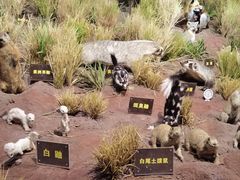 -陕西自然博物馆