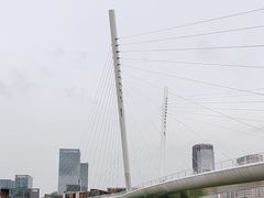 -映月湖中央公园