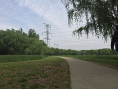 -昆山城市生态森林公园