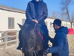 -北京群众马术培训基地