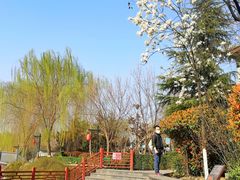 -西安汉城湖景区