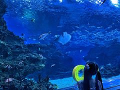 -海合安成都极地海洋公园