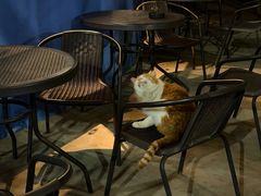 -琥珀川咖啡馆·Amber cafe(百祥路店)