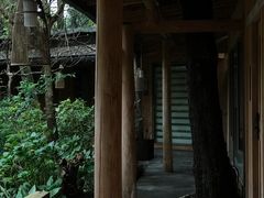 -乐领拈花溪·林涧食韵