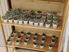 -海底捞火锅(泰安爱琴海店)