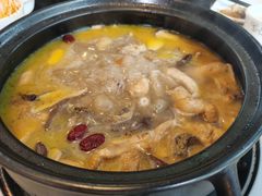 -蘑统田下·野生菌火锅