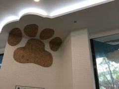 -纳吉亚猫专科动物医院·北北分院