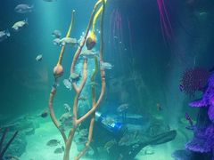 -沈阳海洋探索中心