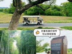 -良渚古城遗址公园