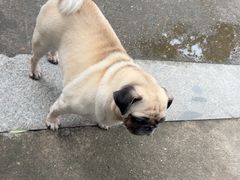 -临江宴餐厅·野生鱼·山里菜(富春江店)