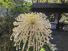 -汇龙潭