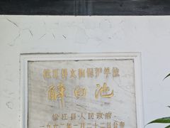 -上海醉白池公园