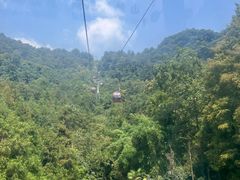 -青城山