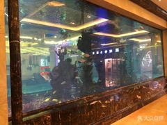 -碧桂园凤凰城酒店(南京店)