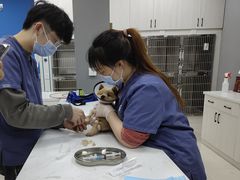 -福州肆爪动物医院