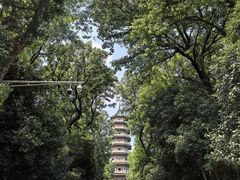 -灵谷景区