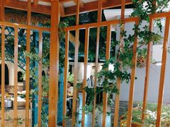 -菌彩云南野生菌火锅(万达广场店)