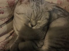 -不舍昼夜咖啡馆
