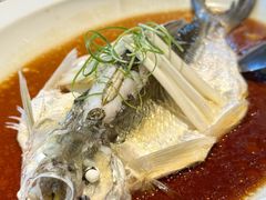 -宁波柏悦酒店·钱湖渔港
