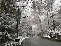 -都江堰景区