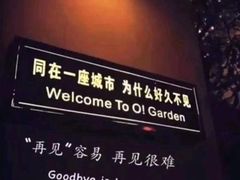 -康泰盲人按摩推拿(金桥胶东路店)