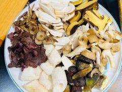 -野菌皇海景野生菌火锅(滨海大道店)