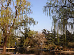 iphone_upload_pic-济南南郊宾馆