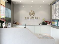 -关爱宠物医院·猫科中心·消化科(滨湖万达分院)