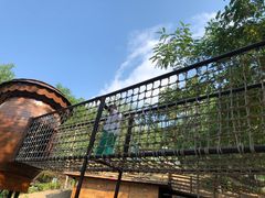 -欢乐松鼠谷