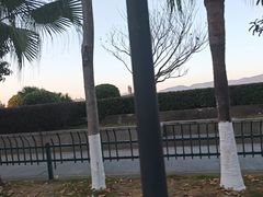 -江心屿景区