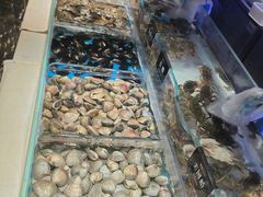 -加餐海鲜自助(宝龙一城店)