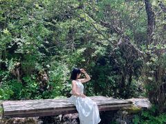 -叠溪松坪沟景区