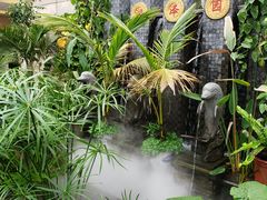 景观位-润泽园椰子鸡(汇一城店)