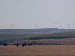 -塞罕坝国家级自然保护区