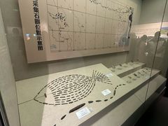 -巴音郭楞蒙古自治州博物馆
