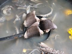 -荔城生鲜盛宴(番禺旗舰店)