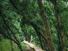 -金堂县云顶石城风景区