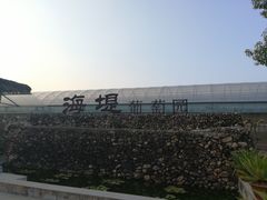 -海堤葡萄园中小学生研学基地