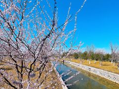 -张家湾公园