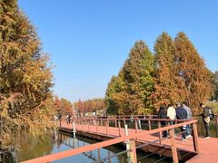 -贡湖湾湿地公园
