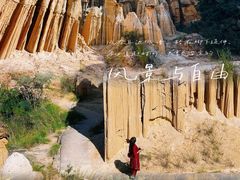 -元谋土林景区(物茂土林)