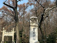 -灵谷景区