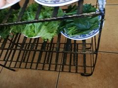-东巴谷野生菌火锅餐厅