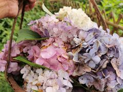 -杭州六谷生态休闲农庄有限公司